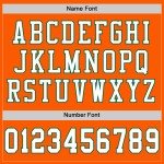 Custom Orange White-Kelly Green Mesh Authentic Throwback Football Jersey Custom Orange White-Kelly Green Mesh Authentic Throwback Football Jersey